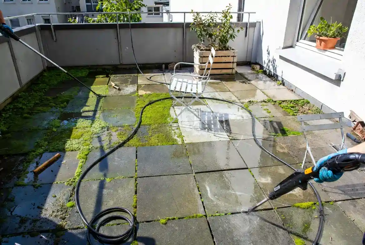 What We Remove From Your Terrace